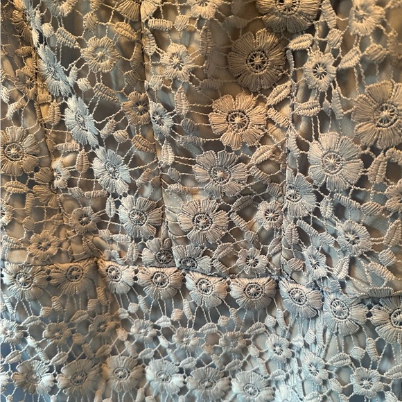 ⚡️B. Darlin Dress⚡️ Pale blue with embroidered flower design. - Picture 5 of 8